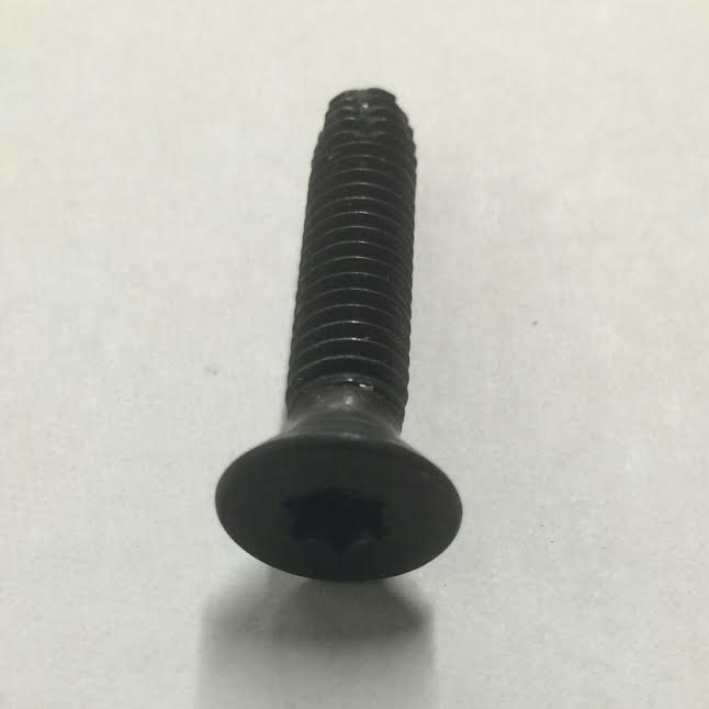 Torques Head Windshield Hinge Bolts